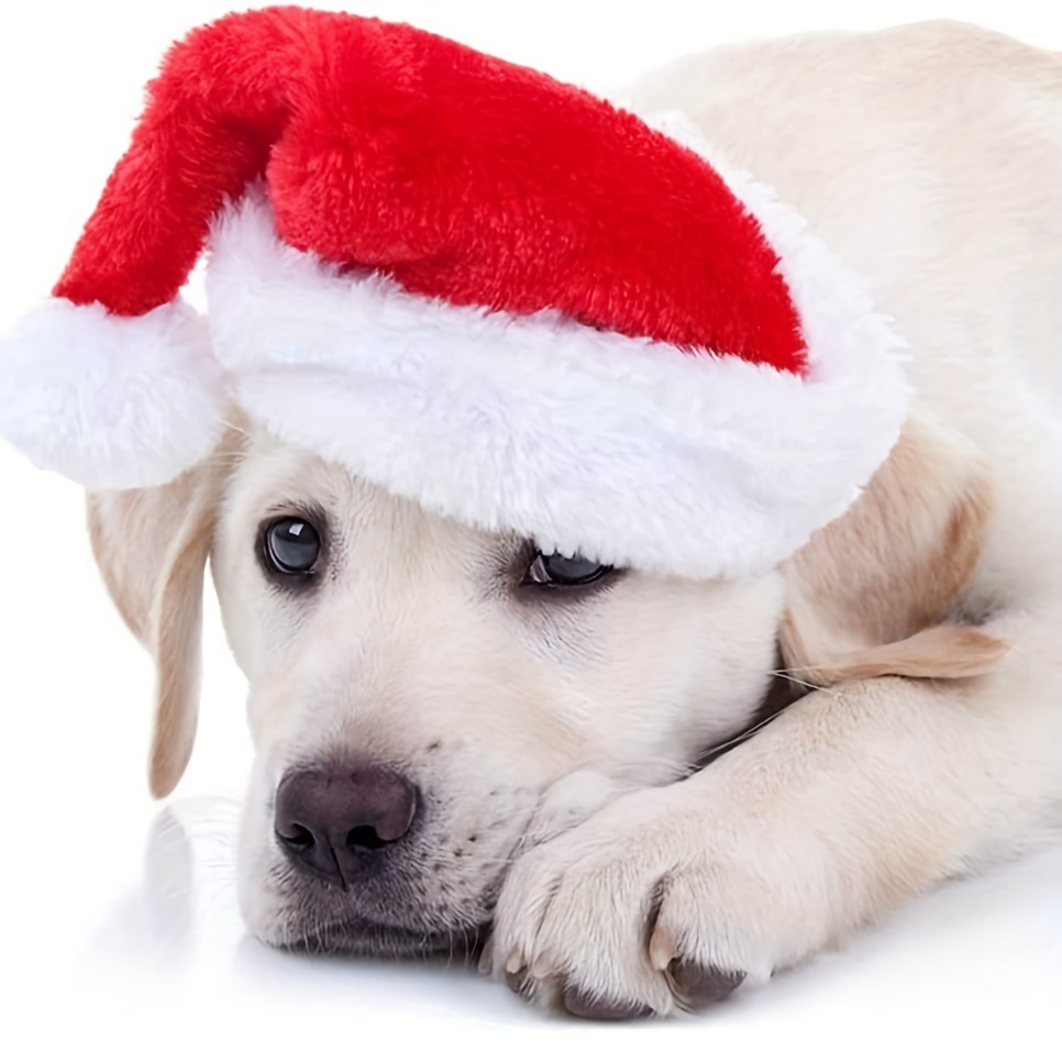 Santa Hat Plush - 1-10 Stück Luxuriöse Weiche Plüsch-Weihnachtsmütze für
