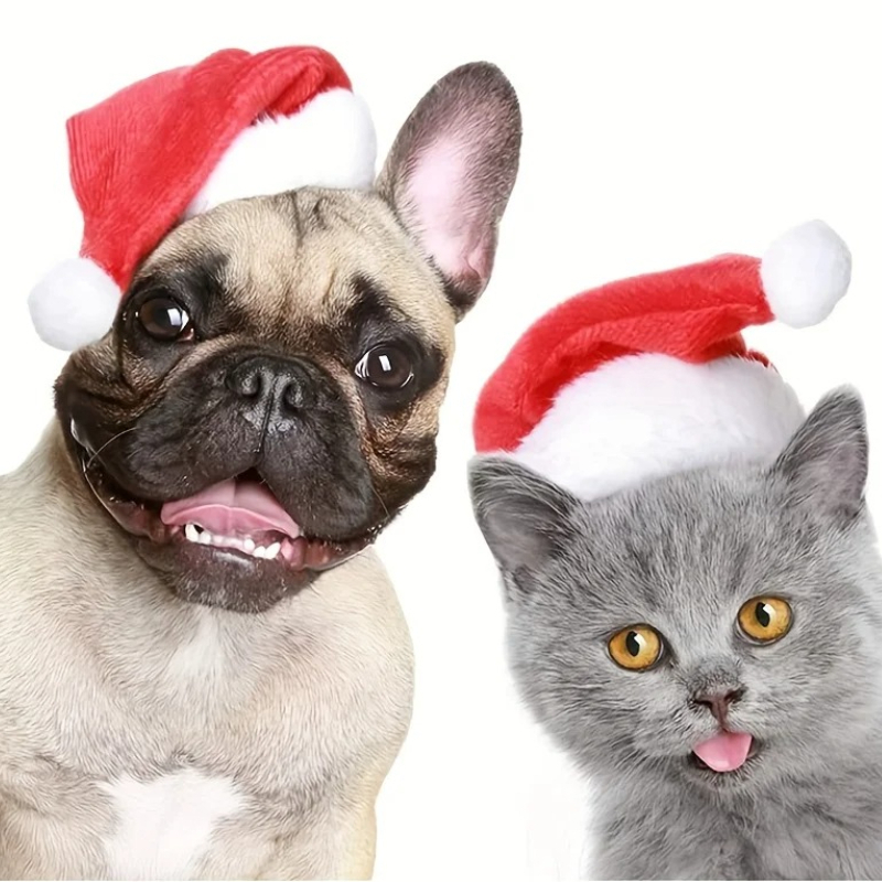 1-10 Stück Luxuriöse Weiche Pl – Santa Hat Plush Bewertung und Preis