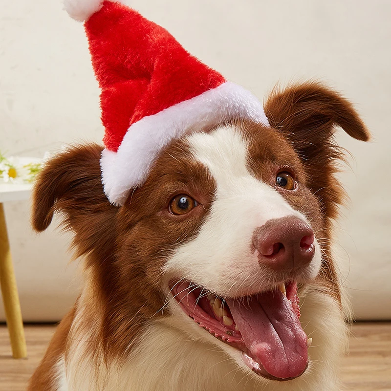 1-10 Stück Luxuriöse Weiche Pl – Santa Hat Plush Bewertung und Preis